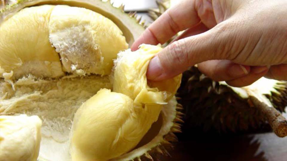 Medan Napoleon oleh-oleh medan bah!