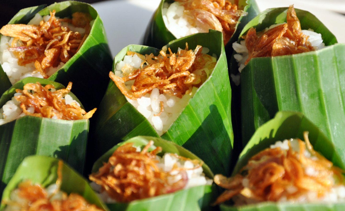 Gambar Nasi Uduk Kebon Kacang Gambar Kodok HD