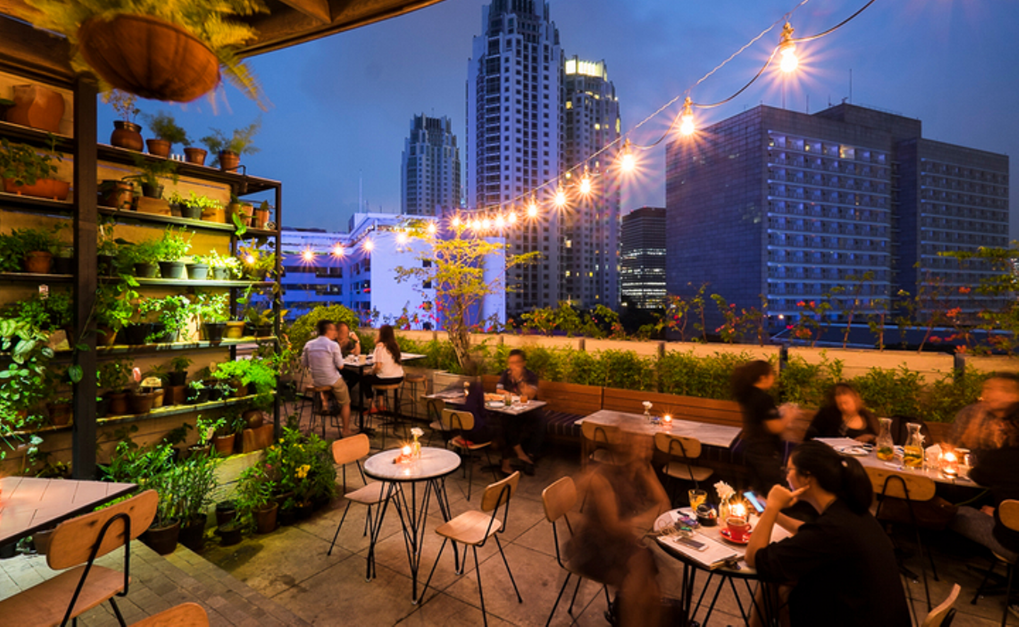 HAUSE Rooftop Kitchen & Bar 