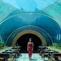 Koral Restaurant: Tempat Santap Mewah di Bawah Indahnya Laut Bali
