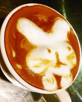 Made this by myself last night at @goldensaffronbali

うさぎーちゃん

#Me #MichikoAkane #Michiko #3D #3DLatteArt #Rabbit #Usagi #LatePost #Latte #LatteArt #Yummy #Coffee #HotCoffee #Delicious #Hot #Tasty #ShouldTry #TheGoldenSaffron #GoldenSaffronBali #GoldenSaffron