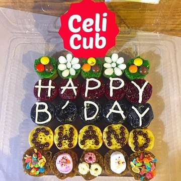 Celi Cub - photo 6