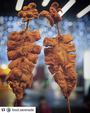 Yaya Squid - photo 11