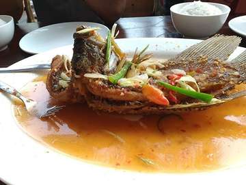 Kakap saus mangga 
#kulinerbekasi
#MakananIndonesia 
#ayojajan
#icipicipresturant
#chickenvillage
#latepost