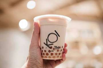 KOI The - photo 9