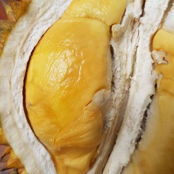 Durian Lokal Bali asal dusun Gelunggang - Mundeh Kangin - Tabanan / Bali
#durian #durianlokal #kingoffruits #durianlover #organicfruit #fruitporn #fruits #exotıcfruits #tropicalfruit #instafruits #tabanan #denpasar #bali