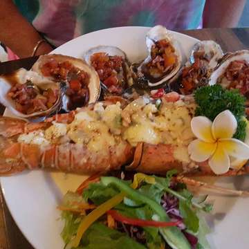 Yogi's Paradise & Grill - photo 1