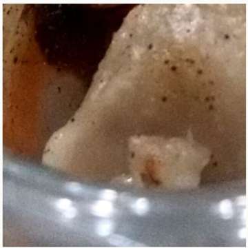 Bakso Coblos Non-njok - photo 5
