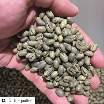 #Repost @theqcoffee (@get_repost)
・・・
Toarco Toraja Peaberry roasted samples prep for delivery to a roaster in Melbourne and Sydney.

Stunning green beans created by a world class producer PT Toarco Jaya. 
#respect #specialtycoffee #coffeetqm #remarkableindonesia #toarcotoraja #javafrinsaestate #solokradjo #kerinciradjo #greenbeans #espresso #cuppacino #sydneyspecialtycoffee #melbournespecialtycoffee #adelaidespecialtycoffee #perthspecialtycoffee #brisbanespecialtycoffee #lovecoffeegotongroyong #banishthestigma @itpcsydney

Many thanks! @theqcoffee
#toarco #toarcojaya #toarcotorajacoffee #peaberry #トアルコトラジャコーヒー