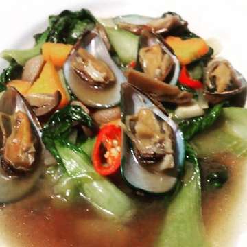 Kerang Ajaib - photo 13