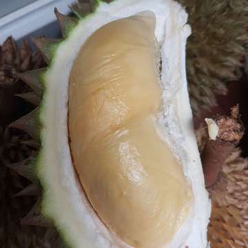 Masih durian lokal Bali
#durian #kingoffruit #durianlover #durianlokal #organicfruit #tropicalfruit #exoticfruit #instafruits #fruitporn #fruitlover #denpasar #bali