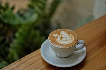 Swan latte art
#coffee #coffeelovers #titikkoma #surabayacafe #cafesurabaya #latteart #swan #cappucino #ilovecoffee