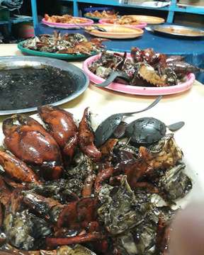 Datang ke Makassar belum mantap kalo gak bawa pulang  oleh-oleh untuk orang rumah. Daripada bingung mending pesan  paket kepiting , otak-otak , udang dan masih banyak pilihan lain di Restaurant Surya Super Crab. Pengambilan pesanan mulai dari jam 5 pagi hingga 10 malam. 👍👍👍👍👍👍