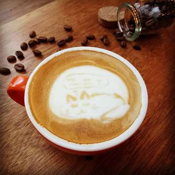 “Unless you try to do something beyond what you have already mastered, you will never grow." ― Ronald E. Osborn

learn ,learn and learn

#latteart 
#barista 
#coffee
#cafelatte
#cat
#sleeping
#bean
#drajacoffee 
#learn
#lovewhatyoudo
