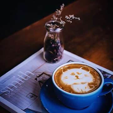 Kopinya lucu digambarin kucing imut2😃
Coffee in dark mood 
Ikut meramaikan ya mba @dewhangga @jepret.indah 
#ji_ngopibarengdewi #coffee_gram #coffeeaddicts #coffeeshotsrock #raw_coffee