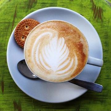 Paideia Coffee & More - photo 8