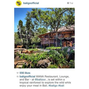 We are delighted to have been featured on @baligoofficial ! Join us soon for an exotic dining vibe. #BaliZoo #Bali